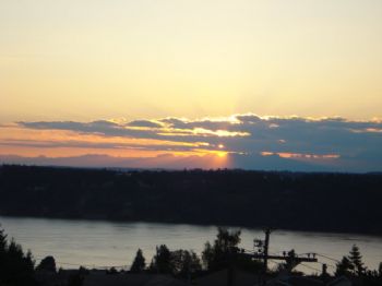 friedman_usn profile photo