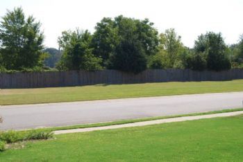 ronniem205 profile photo