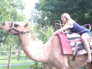 mportch profile photo