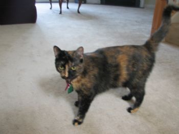 mportch profile photo