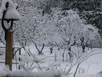 Auraltech profile photo