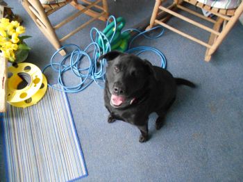 MissMallory profile photo