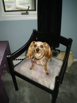 TismoiTori profile photo