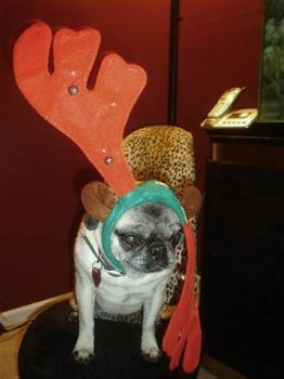 TismoiTori profile photo