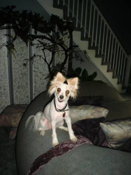 TismoiTori profile photo