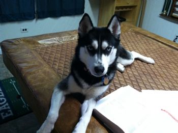 rms3190 profile photo