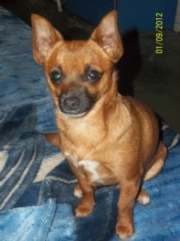 remuro profile photo