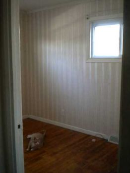 Wayward profile photo