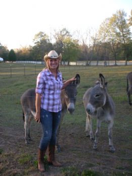 bbrewer profile photo