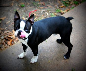 GuyHam profile photo