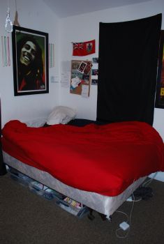 dmzlove profile photo