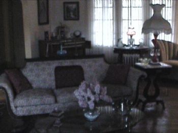 toronado profile photo