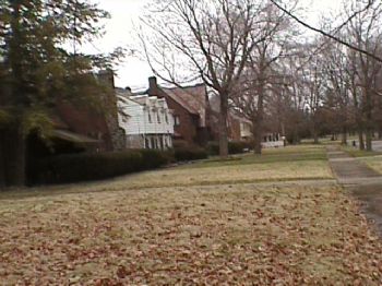 toronado profile photo