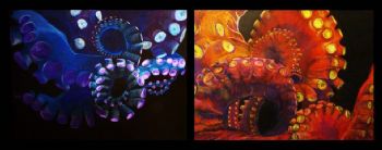 Melrepetti profile photo