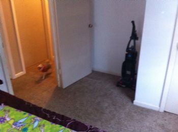 tannessa0329 profile photo