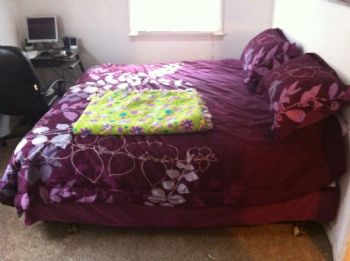 tannessa0329 profile photo