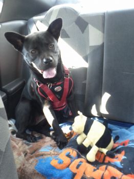 Veronica21 profile photo