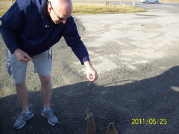 Bainbridge49 profile photo