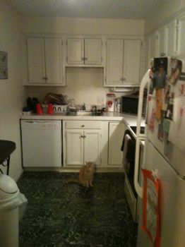 daisyklk16 profile photo