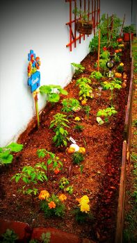 BrigHome profile photo