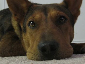 Xandra profile photo