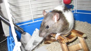 Xandra profile photo