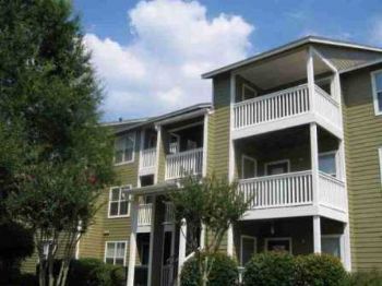 Shira1222 profile photo