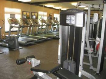 Shira1222 profile photo