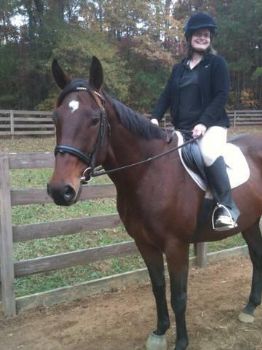 horsewolf profile photo