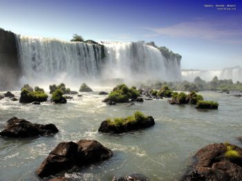 gingersummer profile photo