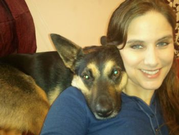 dogtrainer79 profile photo