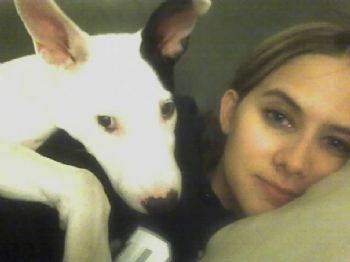 dogtrainer79 profile photo