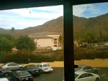 TaraNejat profile photo