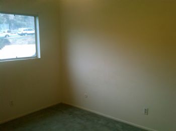 TaraNejat profile photo