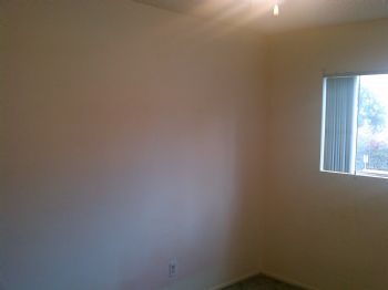 TaraNejat profile photo