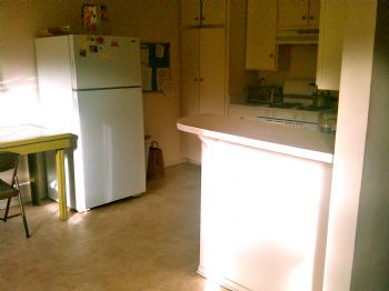 TaraNejat profile photo