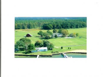 RHOWAR53 profile photo