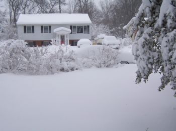 poppy66 profile photo