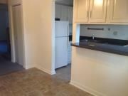 pratml2 profile photo