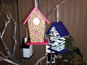 CardinalRose profile photo