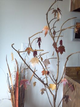 CardinalRose profile photo