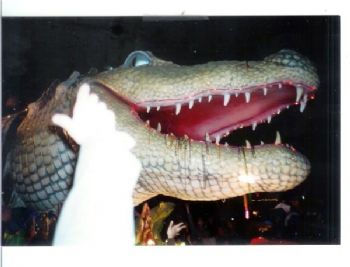 Judson profile photo