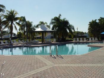 Alyangel profile photo