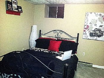 shelbs profile photo