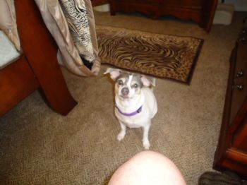 2DeMoon profile photo