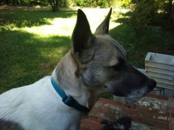 EiosSemaj profile photo