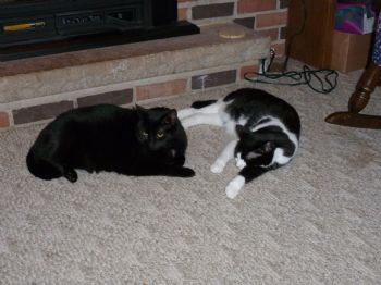 1 Adult profile photo