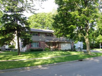 1 Adult profile photo