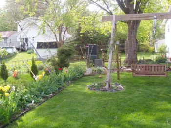 1 Adult profile photo