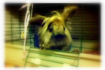 hondalovr949 profile photo